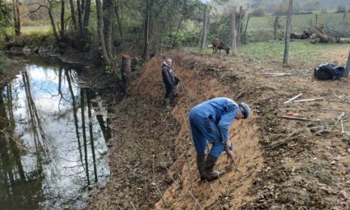 Boutures Bernazobre 18 11 2025