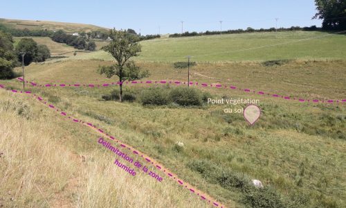 Delimitation_zone_humide-image